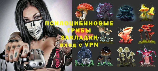 гидра Баксан