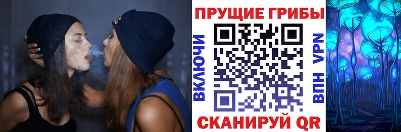 магазин    Голицыно  Галлюциногенные грибы прущие грибы 